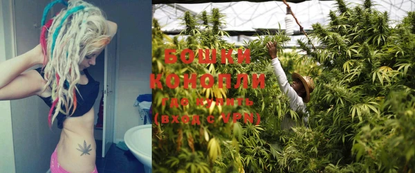 PSILOCYBIN Абдулино