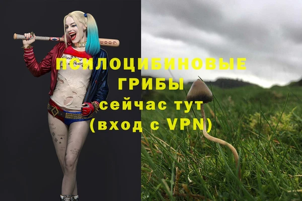 ПСИЛОЦИБИНОВЫЕ ГРИБЫ Абаза