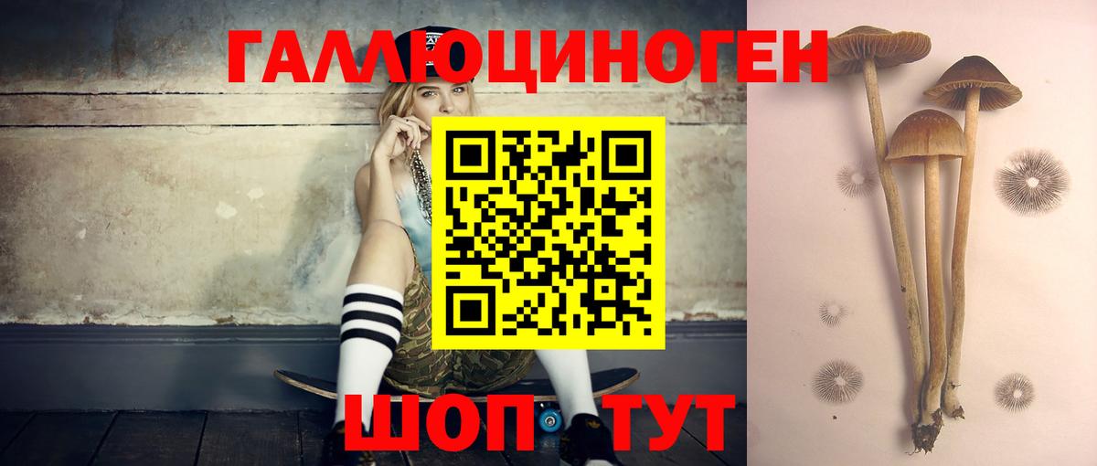 Псилоцибиновые грибы GOLDEN TEACHER Краснокамск